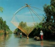 Mekong Delta Tour