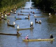 Mekong Delta Tour