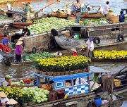 can tho- cho noi cai rang 1