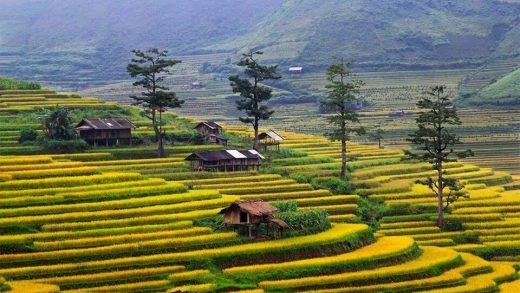 HANOI – SAPA - 3 DAYS - PRIVATE TOUR