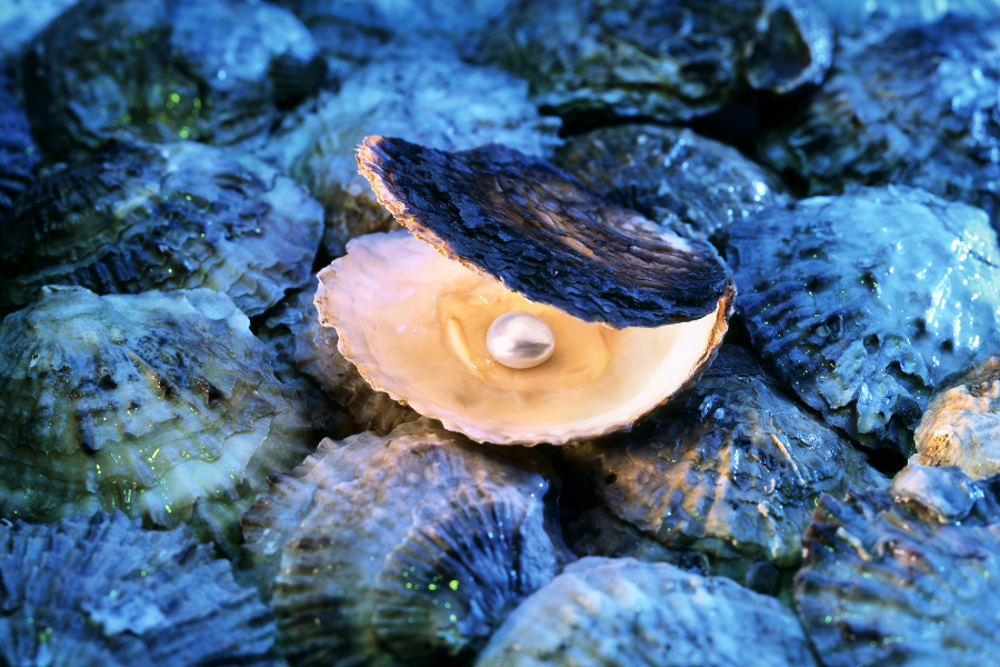 PHU QUOC DISCOVERY AND HISTORICAL INSIGHTS PRIVATE TOUR - 1 DAY - Image 11