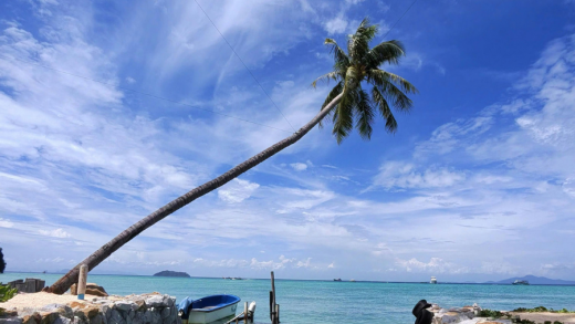 Cham island (Cu Lao Cham)- half day - joint group tour