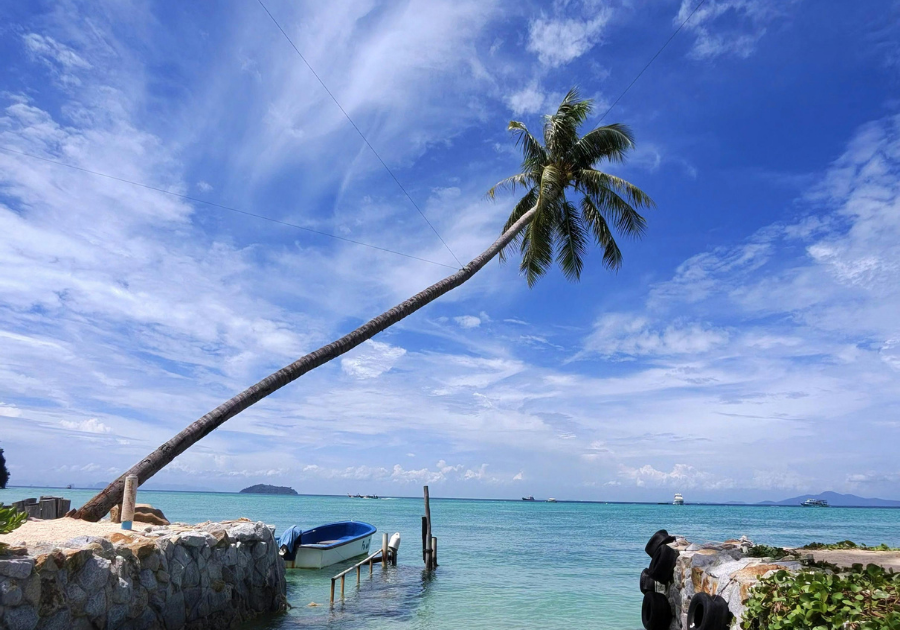 Cham island (Cu Lao Cham)- half day - joint group tour