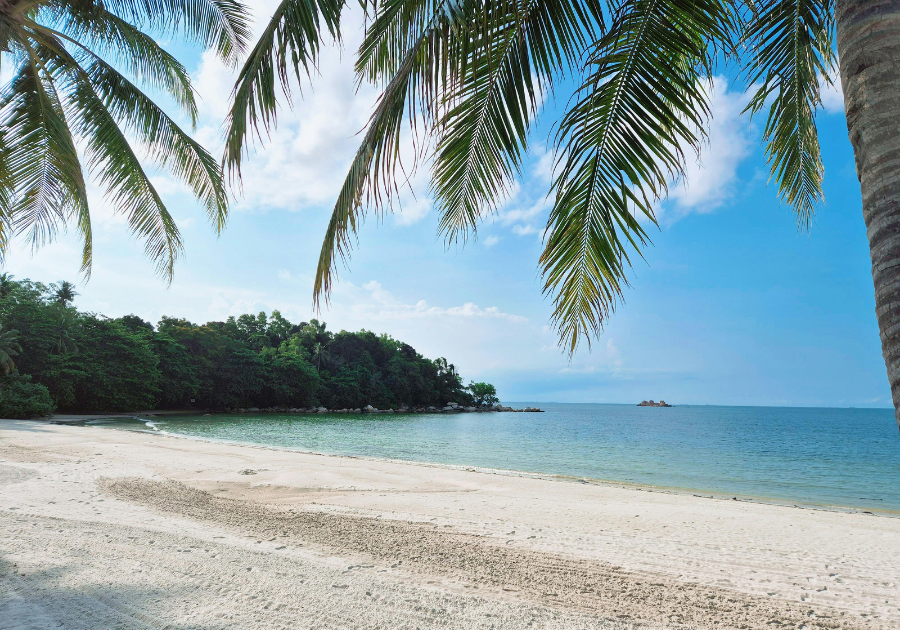 Cham island (Cu Lao Cham)- half day - joint group tour - Image 2