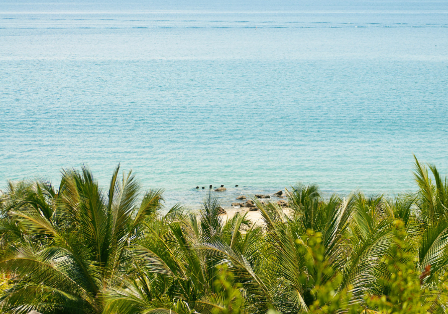 Cham island (Cu Lao Cham)- half day - joint group tour - Image 3