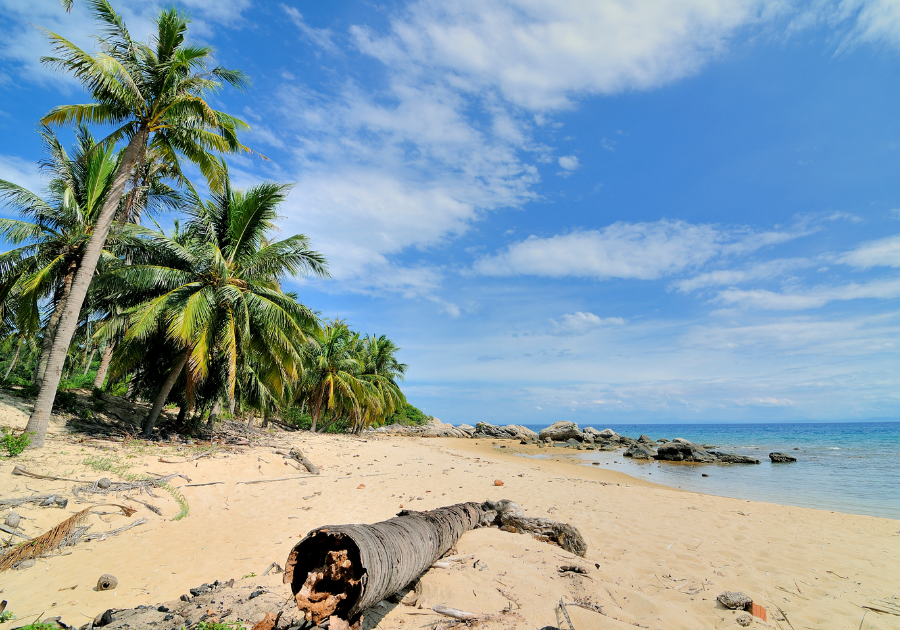 Cham island (Cu Lao Cham)- half day - joint group tour - Image 4