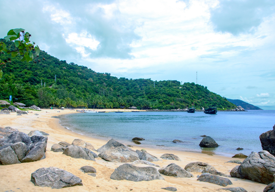 Cham island (Cu Lao Cham)- half day - joint group tour - Image 5