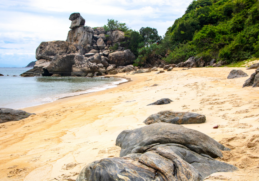 Cham island (Cu Lao Cham)- half day - joint group tour - Image 7