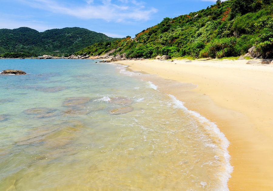 Cham island (Cu Lao Cham)- half day - joint group tour - Image 8