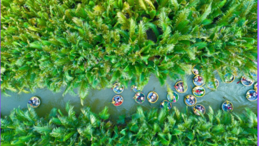 Bay Mau coconut forest & Hoi An ancient town- half day - joint group tour